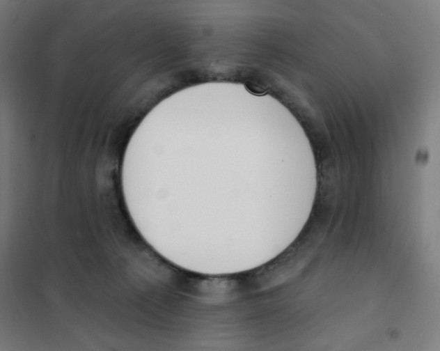 X0000101400225200808041048