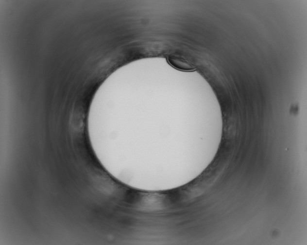 X0000101400226200808041048