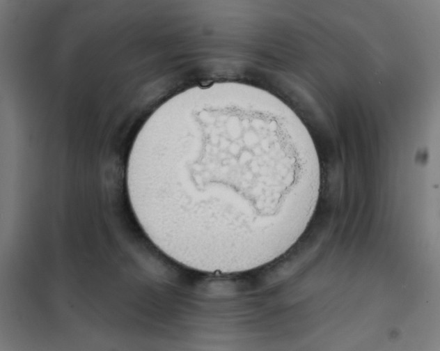 X0000101400228200808041048