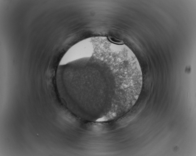 X0000101400229200808041048