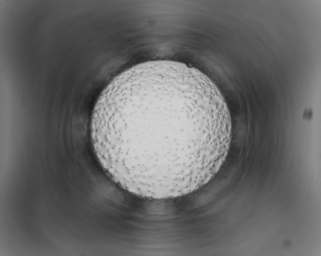 X0000101400230200808041048