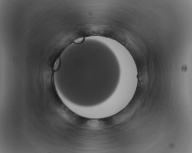 X0000101400231200808041048