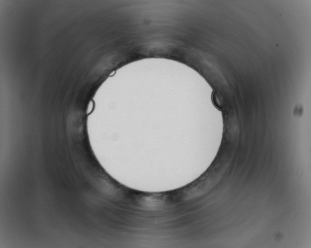 X0000101400232200808041048