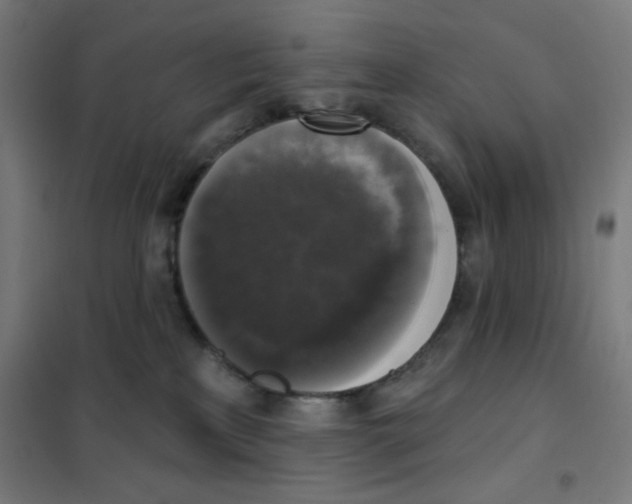 X0000101400233200808041048