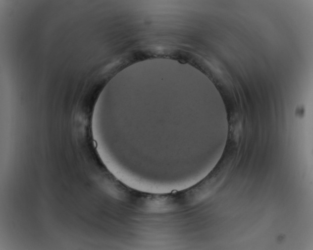 X0000101400235200808041048