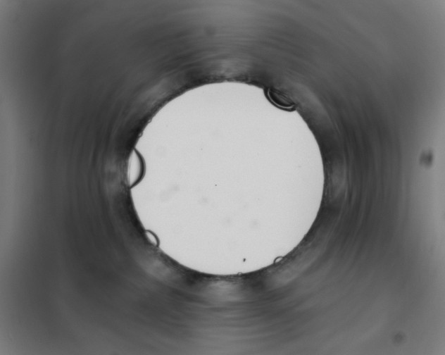 X0000101400236200808041048