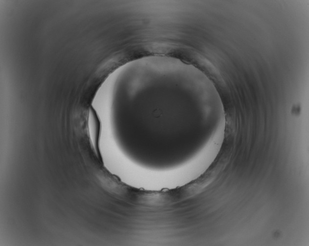 X0000101400237200808041048