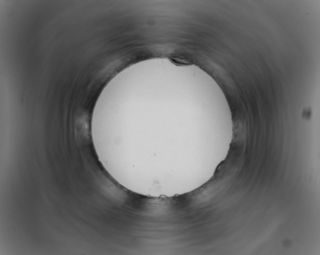 X0000101400238200808041048