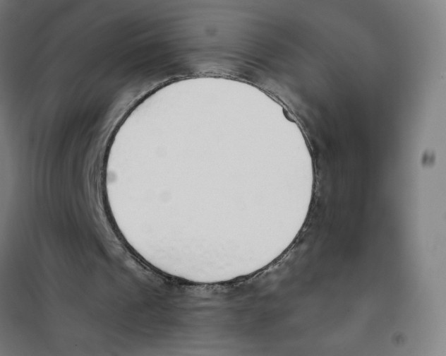 X0000101400241200808041047