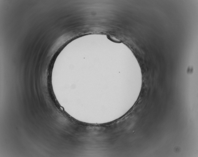 X0000101400242200808041047