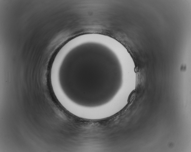 X0000101400243200808041047