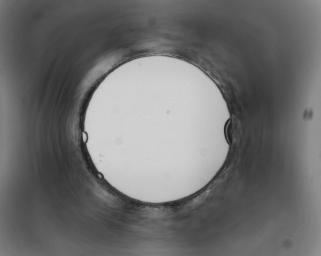 X0000101400245200808041047