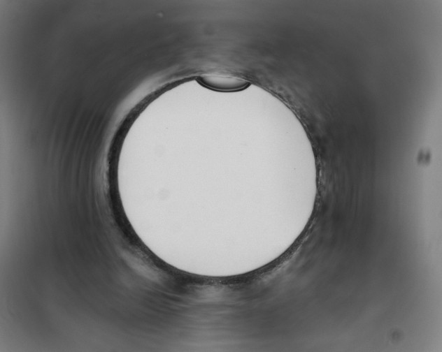 X0000101400246200808041047