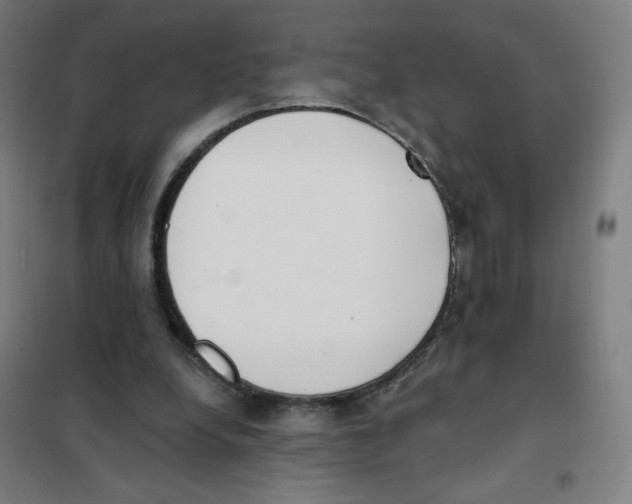 X0000101400248200808041047