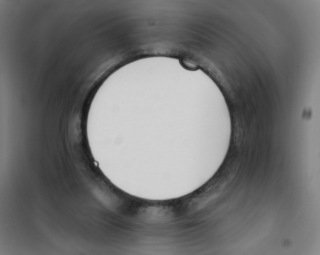 X0000101400251200808041047