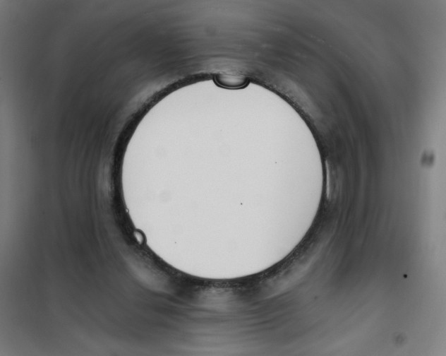 X0000101400252200808041047