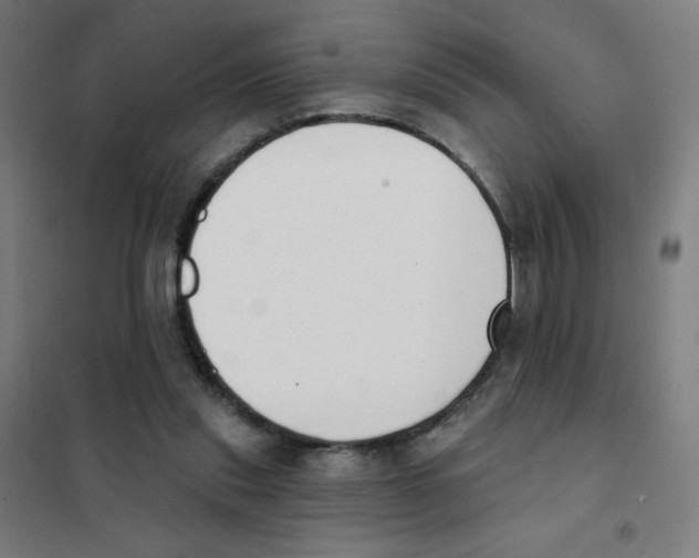 X0000101400253200808041047