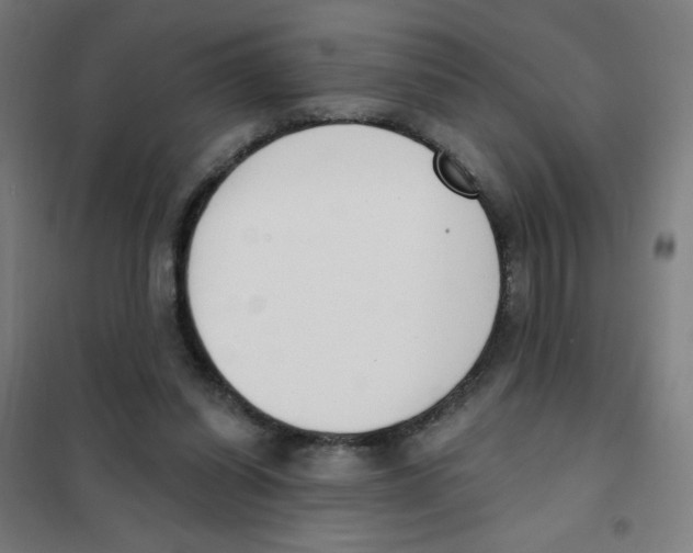 X0000101400254200808041048