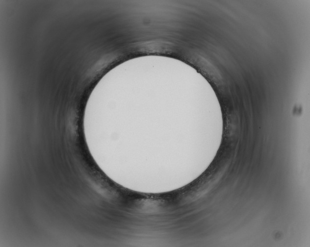 X0000101400255200808041048