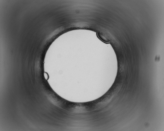 X0000101400256200808041048