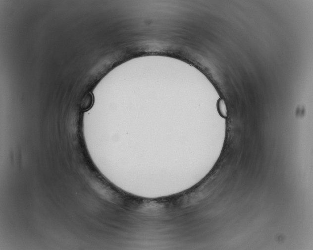 X0000101400257200808041048