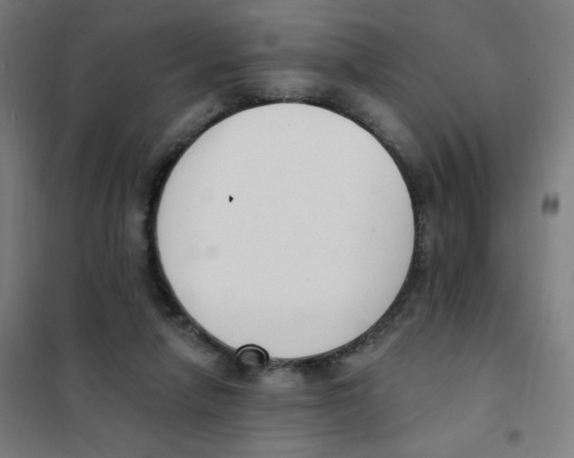 X0000101400258200808041048