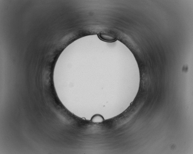 X0000101400259200808041048