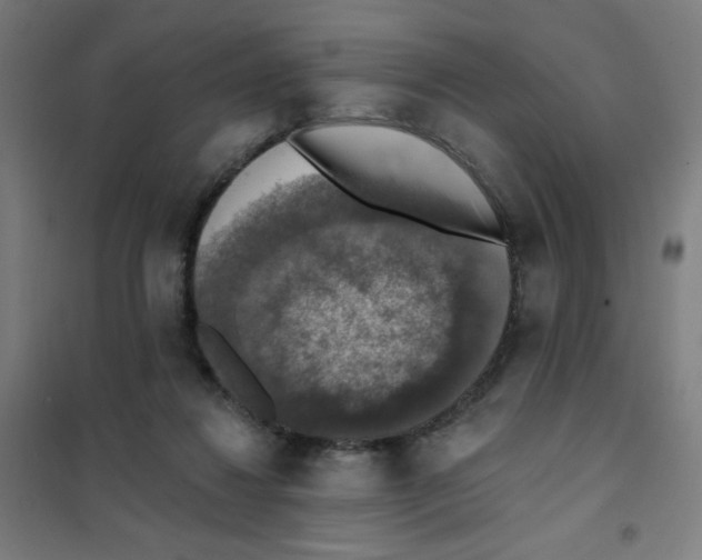 X0000101400260200808041048