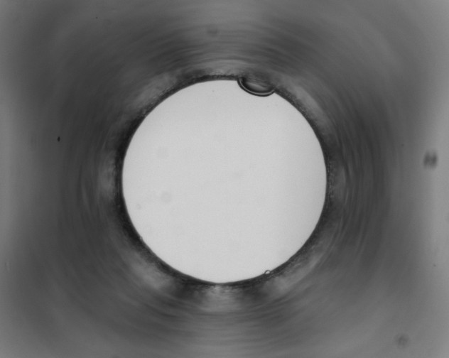 X0000101400261200808041048