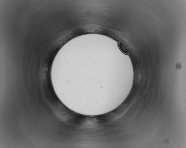 X0000101400263200808041048