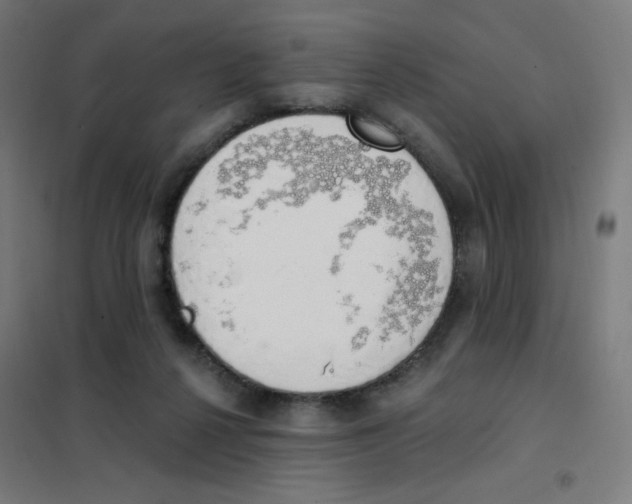 X0000101400264200808041048