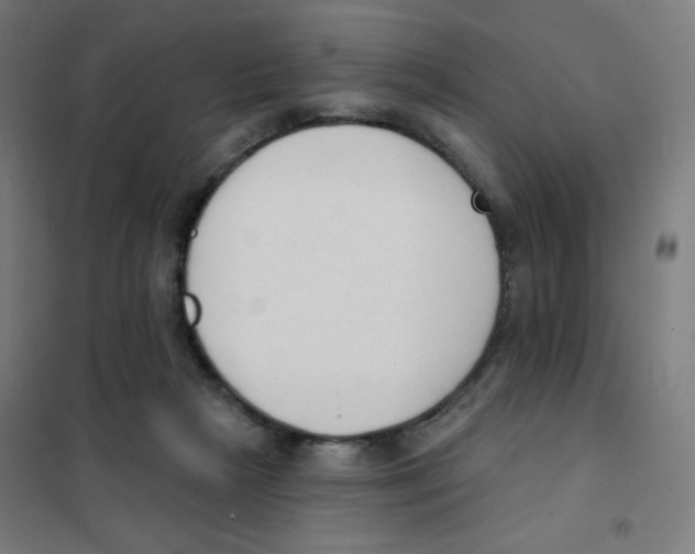 X0000101400265200808041048