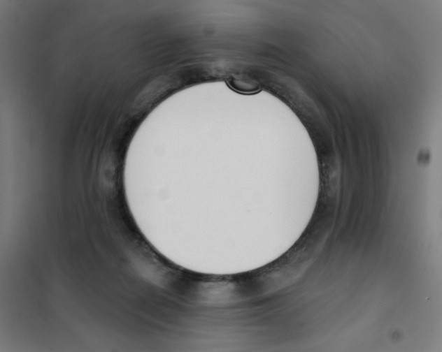 X0000101400266200808041048