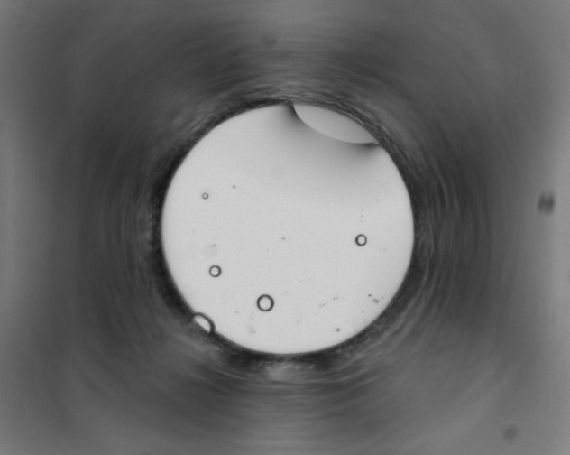 X0000101400268200808041048