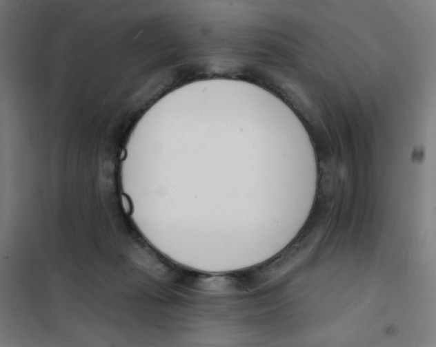 X0000101400269200808041048