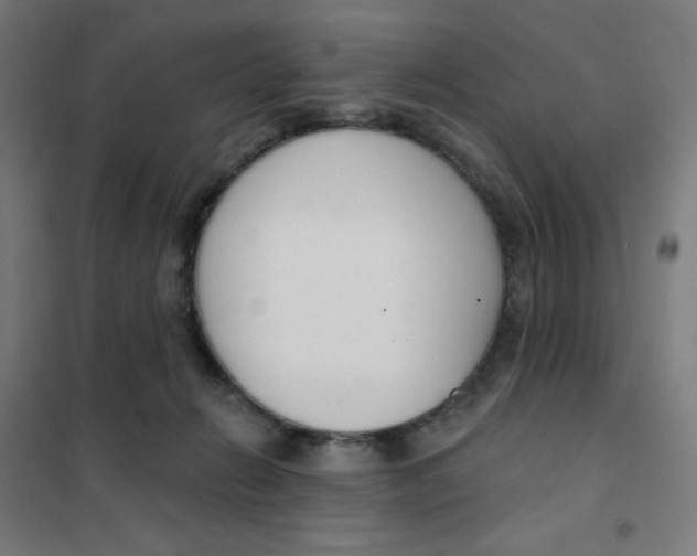 X0000101400270200808041048