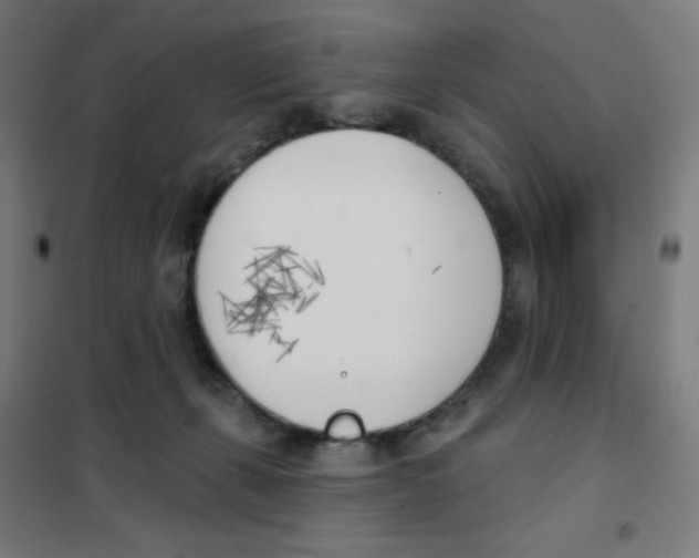 X0000101400271200808041048