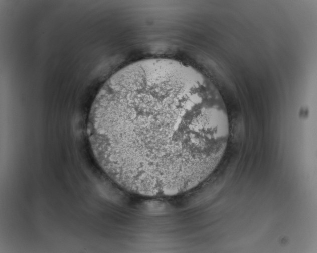 X0000101400272200808041048