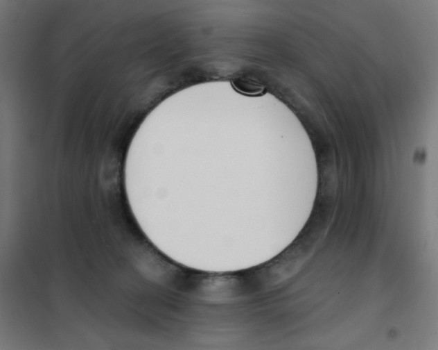 X0000101400274200808041048