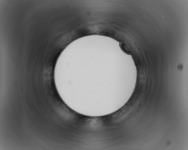 X0000101400275200808041048