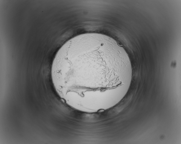 X0000101400277200808041048