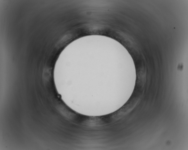 X0000101400278200808041048