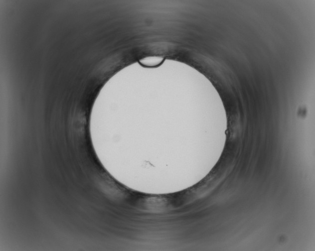 X0000101400279200808041048