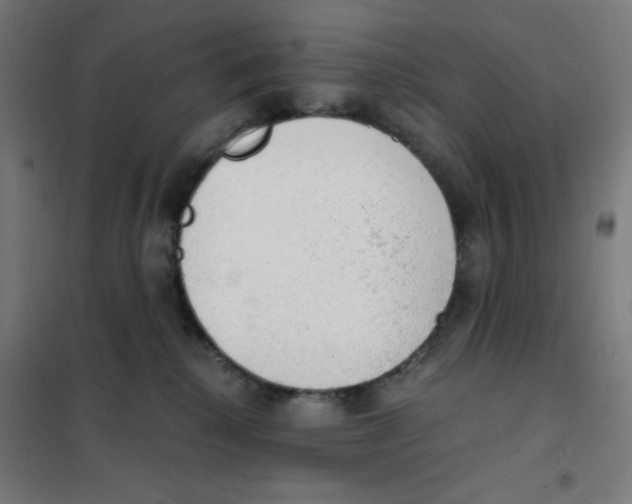 X0000101400280200808041048