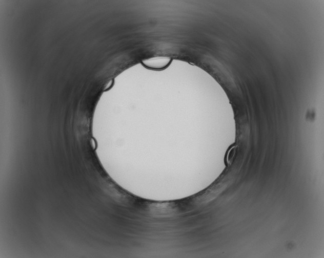 X0000101400281200808041048