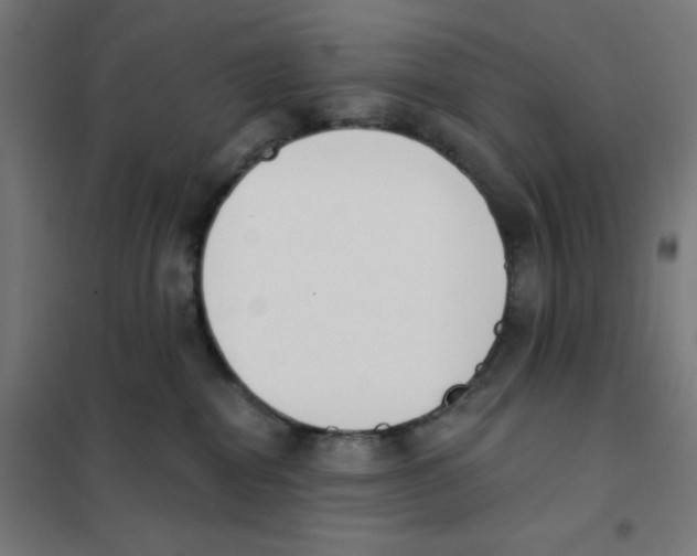 X0000101400282200808041048