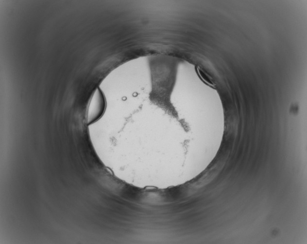 X0000101400285200808041048