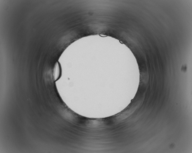 X0000101400286200808041048