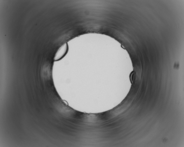 X0000101400287200808041048