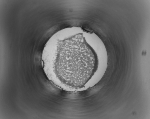 X0000101400288200808041048